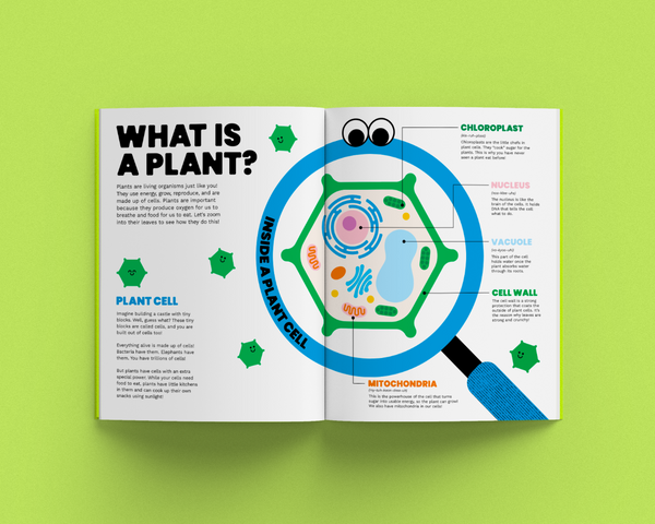 Educational magazine open to a page about plant cells on a green background